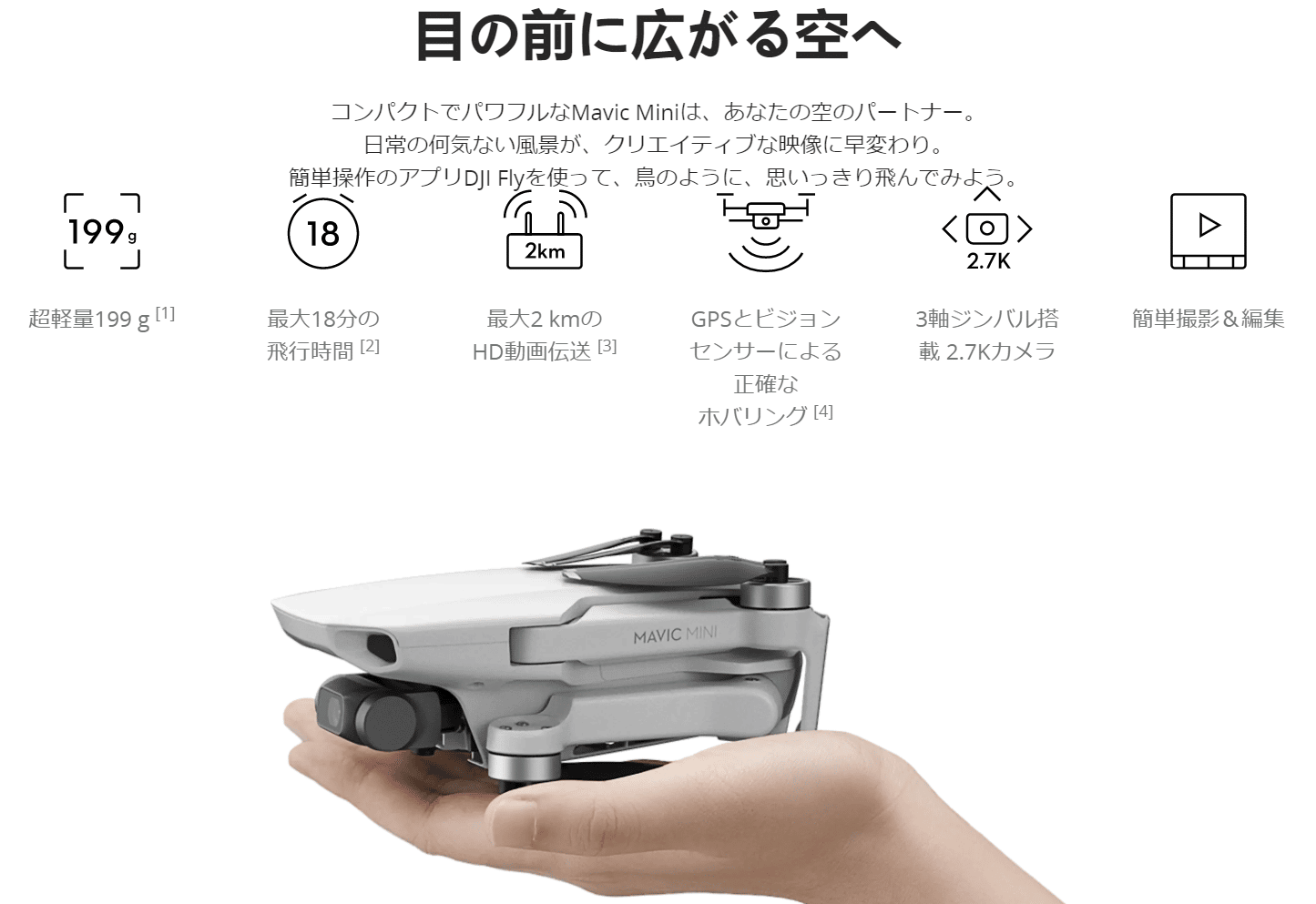 本格的な空撮：Mavic Mini