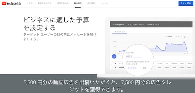 「YouTube　広告　料金」予算