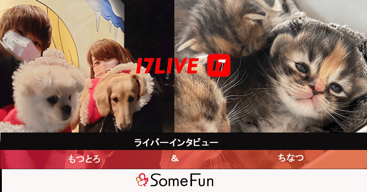 ライバーインタビュー【17LIVE】もつとろ/🥜ちなつ🐶🐱Life👼🏻🍫