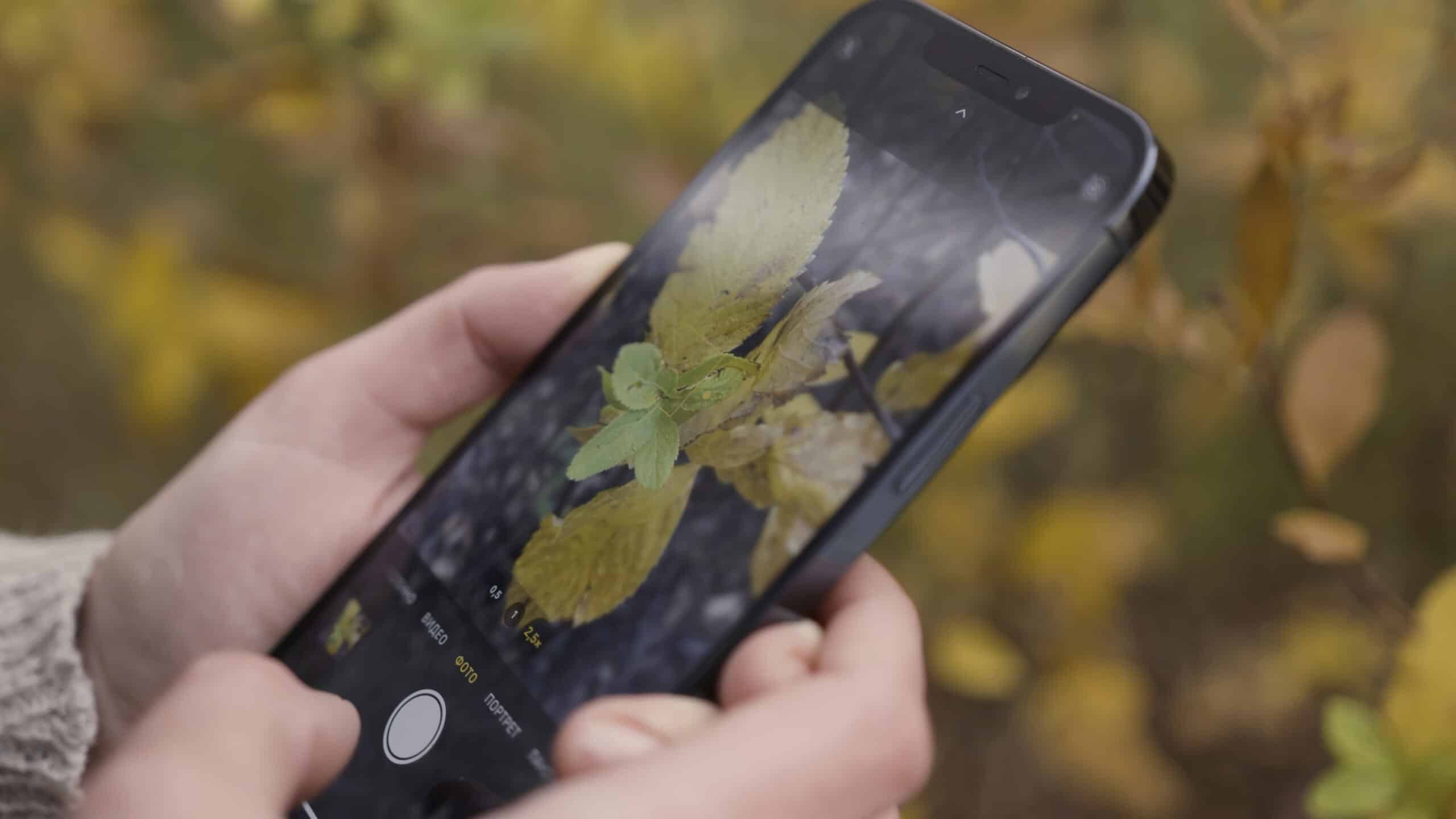 iPhone ポートレート　機能